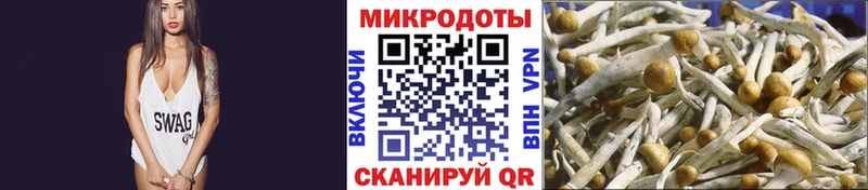 Галлюциногенные грибы GOLDEN TEACHER  blacksprut ССЫЛКА  Бикин 